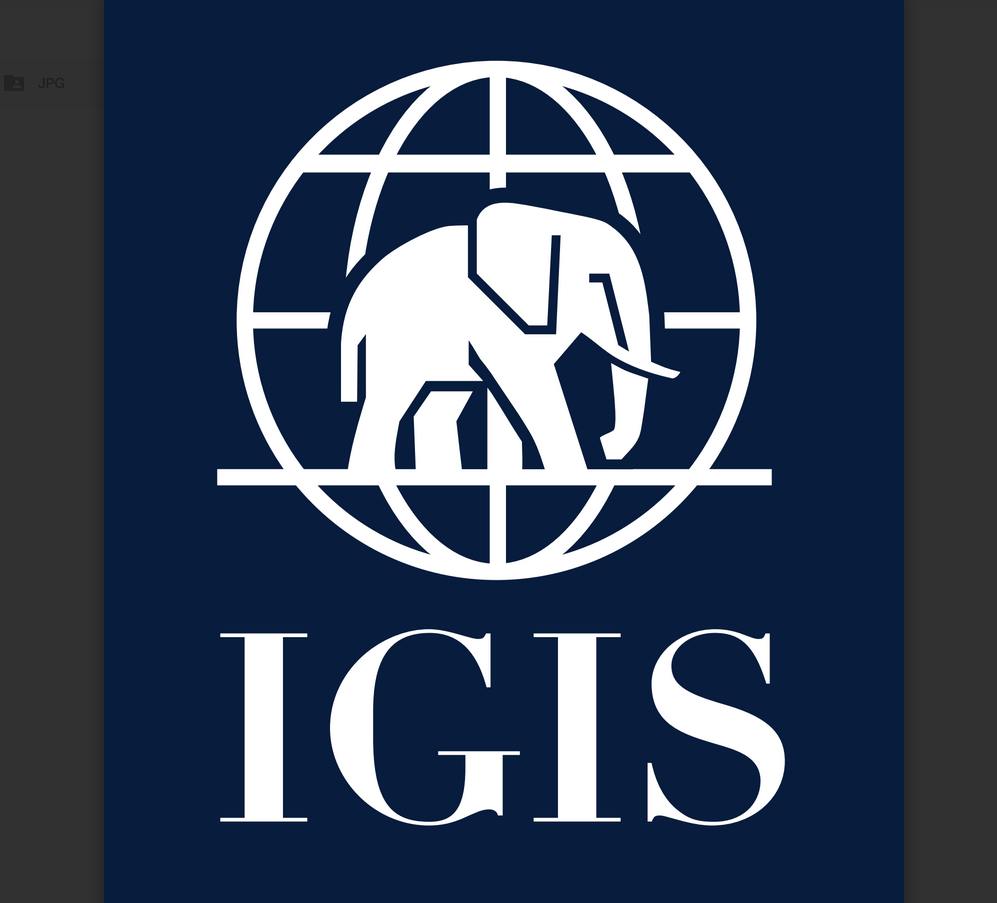 Instytut Geopolityki Idei i Strategii profile photo